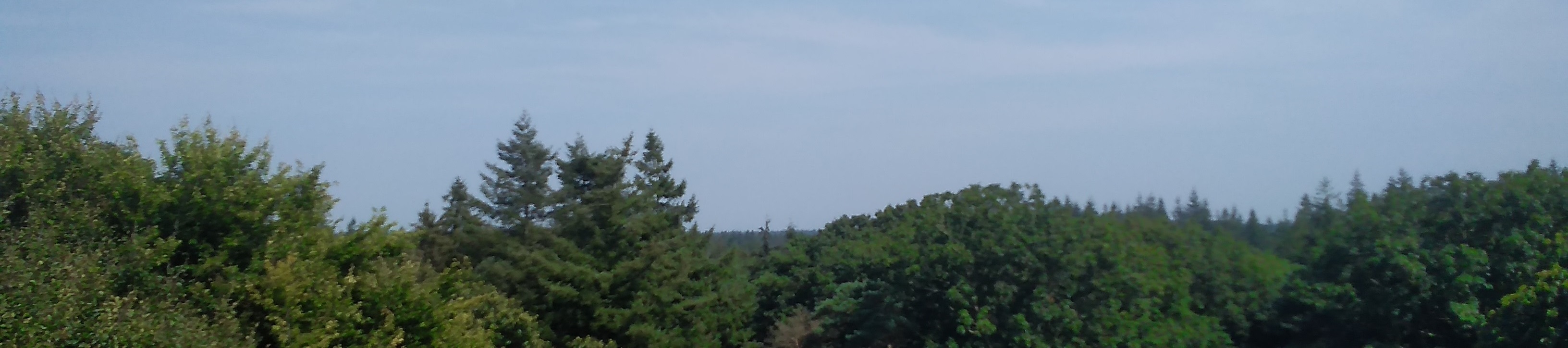 Imagen de Aruba, representando la expansión global de nuestros servicios de contabilidad y consultoría